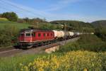 Re 6/6 11645 erklimmt den Bözberg bei Hornussen, 04.05.2012.