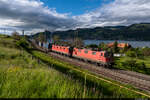 Am 17.05.2021 ist eine Re 10 bestehend aus SBB Cargo Re 420 332-9 und Re 620 017-4 unterwegs mit einem internationalen Güterzug auf der Lötschbergachse nach Gallarate und konnte hier bei