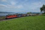 Infolge eines Erdrutsches bei Immensee  war die Strecke Arth-Goldau-Rotkreuz vom 02.06.2013 bis und mit 04.06.2013 unterbrochen, weshalb smtliche Gterzge ber Zrich umgeleitet wurden.