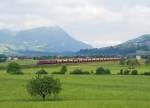 11626 und 11236 als Re 10/10 mit Schotterzug südwärts bei Steinen am 17.6.2015.