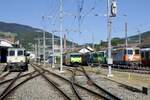 Diverse Re 4/4 und die Re 465 011 der BLS die am 15.9.24 beim Re 4/4 Jubiläumsfest beim Bahnhof Balsthal stehen.