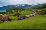 Am Abend des 17.05.2021 ist SBB Cargo Re 620 021-6 mit dem täglichen CargoExpress von Ardon in den RBL unterwegs und konnte hier bei Einigen aufgenommen werden.