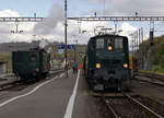 Verein Depot und Schienenfahrzeuge Koblenz (DSF)  TRIEBWAGEN TREFFEN KOBLENZ 20.