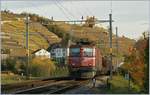 Die Ae 6/6 11419 (Appenzell IR) erreicht mit einem Güterzug Lutry.
10. Nov. 2008