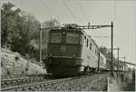 Im Archiv gefunden: die SBB Ae 6/6 11434 mit einem Güterzug auf der Fahrt Richtung Lausanne erreicht die Haltestelle Bossière.
16. Okt. 2007