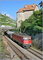 Beim Château de Grérolles bei Rivaz ist diese SBB Ae 6/6 11472 mit einem Güterzug Richtung Lausanne unterwegs. 
31. Juli 2007