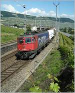 Die SBB Ae 610 500-1 bzw. Ae 6/6 11500  Landquart  ist mit einem Güterzug bei Cully auf dem Weg nach Lausanne. 

12. Juni 2008