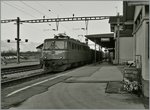 Die Ae 6/6 11419 Appenzell Innerrhoden mit einem Güterzug in Bex am 10 Jan.
