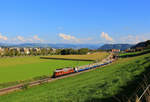 BLS Ae 6/8 205 in der Abendsonne bei Wabern.