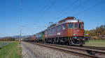 Ae 6/8 205 mit einem Sonderzug nach Luzern, aufgenommen in Brittnau am Nachmittag des 23.10.2021.