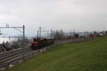 Die Verband vom seetalbahn historisch hat ein Ee 3/3 gekauft.