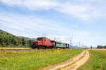 Das Seetalkrokodil De 6/6 15301 fährt mit einem Sonderzug durch Oberbusiten Richtung Oensingen. 9.7.2023