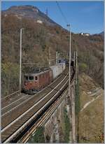 Die BLS Re  4/4 195 schiebt bei Preglia einen Güterzug nach.
21. Nov. 2017 