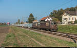 BLS Re 4/4 192  Spiez  und 185  Lalden , vermietet an die Sersa AG, mit einem Zuckerrübenzug nach Aarberg am 10. Oktober 2018 bei Busswil.