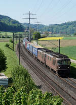 Stimmungsbild mit einer BLS Doppeltraktion Re 425, entstanden am 23. Mai 2019 bei Bollodingen.
Foto: Walter Ruetsch