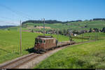 BLS Re 4/4 192  Spiez  mit zwei Autozugwagen am 3. September 2020 bei Biglen.