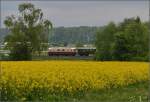 Bahn im Tägermoos - bei Sauwetter. 

Ein Highlight war die Re 4/4<sup>I</sup> 10034 auf dem Rückreise von den Arbon Classices. Mai 2014.