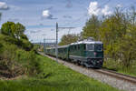 Re 4/4 II 11173 des dsf kurz nach Verlassen von Zurzach auf dem Weg nach Eglisau, aufgenommen am 29.04.2023.