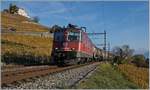 Kurz vor Lutry, bi Km 5.8 fotografiere ich diese SBB Re 420 257-8 mit eienem Güterzug Richtung Lausanne.
3. Nov. 2017
