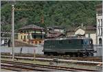 Die zwischenzeitlich ziemlich bekannte SBB Re 4/4 II 11161 wartet in Bodio auf der Dampfzug nach Bellinzona.

28. Juli 2016