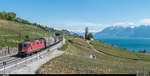 SBB Re 4/4 II 11263 mit Güterzug am 15. Mai 2019 zwischen Grandvaux und Bossière.