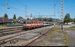 SBB Re 4/4 II 11108 und 11109 mit einem IR 37 am 21. August 2020 bei der Durchfahrt in Rupperswil.