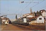 Als im Frühjahr 1995 die SBB Re 4/4 II 11343 mit ihrem Schnellzug nach Birg durch den Bahnhof von Rivaz fährt, verfügt dieser noch über umfangreiche Gleisanlagen und einen Güterschuppen. Damals wurde auch die Getreidemühle westlich des Bahnhofs und mit einem Anschlussgleis ausgestattet von Getreidewagen im Schiebedienst mit einem  Sputnik  als Steuerwagen bedient. 

Die SBB Re 4/4 II 11343 war eine der wenigen Loks, die bereits mit eckigen Stirnlampen, aber noch in grüner Farbe ausgeliefert wurden.

Analog Bild vom April 1995