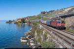 SBB Cargo Re 4/4 II 11278  Cham  mit WLV-Zug Lausanne-Triage - St-Maurice am 8.