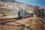 Die SBB Re 4/4 II 11263 fährt mit einem Güterzug durch Rivaz im noch Jahreszeitbedingt etwas farblosen Lavaux. 

Analogbild vom März 1994