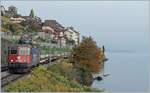 Herbst - die wohl schönste Zeit der Fotografie, das Licht ist sanft und Natur bunt. So auch der Baum am See; und doch war es wohl ein Herbst-Sturm der in knickte, den Baum, der so unendlich viel Züge an sich vorbeifahren sah...
In der bunten Herbstlandschaft ist die SBB Re 4/4 II 11178 (Re 420 178-6) mit einem bunten Güterzug auf dem Weg nach Lausanne. 

25. Oktober 2021