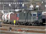 Die Re 4/4 II 11347 grn und 11246 rot befrdern einen Zementzug zu den Holcimwerken in Untervaz. Hier bei einem Halt in Sargans.
(29.01.2008)