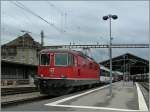 Die SBB Re 4/4 II 11115 mit dem  Gelben -Zug auf dem Weg nach Lourdes beim Halt in Lausanne.
12. Mai 2013