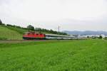 Noch immer hat die SOB eine Re 4/4 II bei SBB Cargo angemietet, für den Einsatz am Voralpen Express. Re 4/4 II 11180 mit dem VAE IR 2416 oberhalb von Freienbach SOB, 04.07.2014.