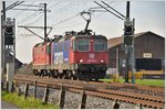 420 310-5 und Re 4/4 II 11236 zwischen Siebnen-Wangen und Schübelbach-Buttikon. (24.10.2016)