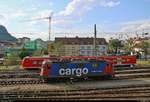 Re 4/4 II (421 392-2) der SBB Cargo rangiert im Bahnhof Singen(Hohentwiel).
Aufgenommen im Gegenlicht vom Parkhaus in der Julius-Bührer-Straße.
[14.7.2018 | 18:27 Uhr]