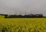 421 393 und 421 xxx fuhren am 06.05.14 mit einem Containerzug durch Grobau/V.