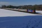 Zwischen Flawil und Gossau hat Re 421 394-8 am 28.01.2017 die Wagen des EC 195, Zürich - München am Haken.