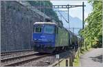 Ungeschickt im Gegenlicht fotografierte ich die WRS Re 430 115, die ehemalige SMB Re 4/4 III 181, die mit einem Kesselwagenganzzug kurz nach dem Château de Chillon in Fahrtrichtung Lausanne fährt. Noch ungeschickter als das Gegenlicht sind die Holzlatten auf der Höhe des zweiten Wagen, welche wohl für einen künftigen Zaun stehen. Trotzt der Hinweise betreffend fehlender Rechtsgrundlage zu Panoramafreiheit, ist dies doch ein Grund künftig über eine Drohne nachzudenken.

31. Mai 2023