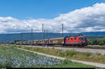 Re 4/4 III 11351 durchfährt am 3. Juli 2017 mit einem Güterzug den Bahnhof Ins.