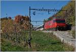 Die SBB Re 460 074-8 mit einem IR nach Luzern in den Weinbergen des Lauvaux zwischen Bossière und Grandvaux.
26. Okt. 2017