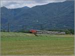 Eine SBB Re 460 hat mit ihrem Gotthard IR kurz vor Riazzino das letzte Mal den Ticino überbrückt und wird in gut zehn Minuten sein Zeil Locarno erreicht haben. 
21. Juni 2015