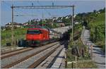 Eine SBB Re 460 ist bei Bossière mit ihrem IC 1 704 von St.Gallen nach Genève Aéroport auf dem Weg nach Lausanne. 

14. Juli 2020