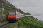 Umleitungsverkehr via die  Train des Vignes  Strecke infolge Restaurierung des Bertholod Tunnels: Nach der Durchfahrt des RABe 511 kam auch schon ein weiter Zug, aus der Gegenrichtung zeigt sich eine SBB RABe 460, die ihren IR 30913 mit dem Ziel St-Maurice in Richtung Vevey schiebt. Somit hatte ich, was ich gerne wollte: ein Re 460 Bild auf der Train des Vigens Strecke.  

29. August 2020