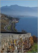 Die Suche nach den letzten Herbstblättern im Lavaux führte mich in die Rebberge oberhalb von Rivaz, wo der Blick über den See zu den Waadtländer Alpen gleitet.