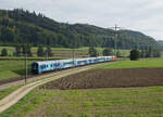 Die blauen Wagen vom Connecting Europe Express in der herrlichen Landschaft bei Bollodingen, gezogen von einer SBB Re 460 am späten Nachmittag des 27. September 2021.
Dieser einmalige Sonderzug besteht aus sechs Wagen von Eisenbahnunternehmen aus Italien, Frankreich, Ungarn, der Schweiz, Österreich und Deutschland.
Die Schweiz ist vertreten mit einem SBB IC Panoramawagen.
Foto: Walter Ruetsch  