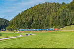 SBB Re 460 087 / Extrazug Singen (Hohentwiel) - Bern / Burgdorf, 27.