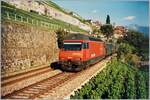 Die SBB Re 460 031-8 ist mit einem Schnellzug aus EW I und EW II bei St-Saphorin unterwegs. Im Hintergrund ist noch die damals vorhandene zierliche Fahrleitungsanlage aus dem Jahre 1924 und rechts im Bild ein üppiger Baum, der seine Äste schon fast in Profil der Simplonlinie streckt. 

Analogbild Sommer 1996