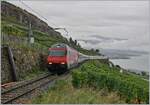 Nachdem beim Umleitungsverkehr via die  Train des Vignes  Strecke sich die SBB Re 460 089-6 mit ihrem RE 30630 an mir vorbeigequält hatte, um kurz ihre Fahrt und meine Fototour abzubrechen, war ich in der Folge bei weiteren Umleitungsverkehren nicht so erpicht auf einen weiteren Besuch der Strecke, insbesondere auch, da ich vermutete, die Re 460 Leistungen werden ausschliesslich durch RABe 511 abgedeckt.
Die SBB Re 460 089-6 mit ihrem RE 30630 kurz vor dem Salanfe Tunnel (und der unfreiwilligen Entstation Lauvaux). 

29. August 2020