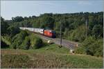 Eine SBB Re 460 ist mit einem IC von Genève Aéroport nach St. Gallen unterwegs und fährt zwischen Neyruz und Rosé noch unter den letzten alten Fahrleitungsmasten in Richtung Fribourg. Wie das Bild zeigt, waren die Arbeiten für den Ersatz der alten Fahrleitungsmasten bereits im Gang.

6. August 2015