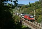 Re 460 008-6 mit IR auf der Fahrt von Genf Flughafen nach Luzern, zwischen Bossire und Grandvaux am 03.10.2010 